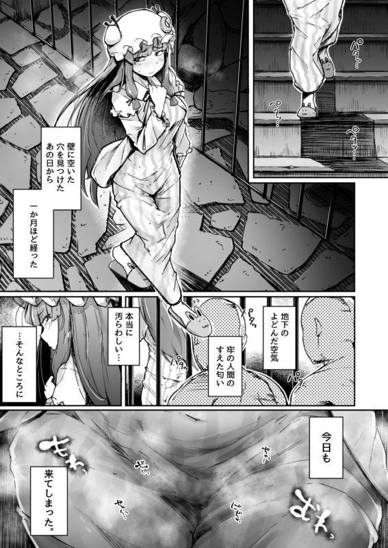 [自家発電処 (flanvia)] 穴とむっつりどすけべだいとしょかん2 サンプル画像 02