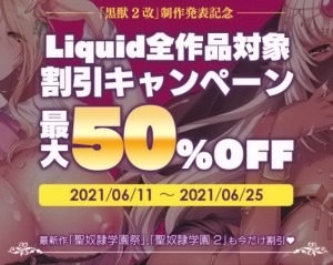 【速報】『黒獣2 改』製作発表記念!Liquidの全作品対象、最大50%OFFキャンペーン開催中!(6/25まで)